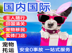 澜沧景迈航空运输国际宠物托运 【国